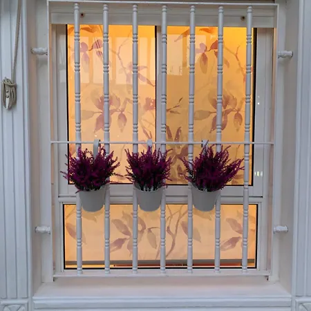 Apartamento Pola Park Playa